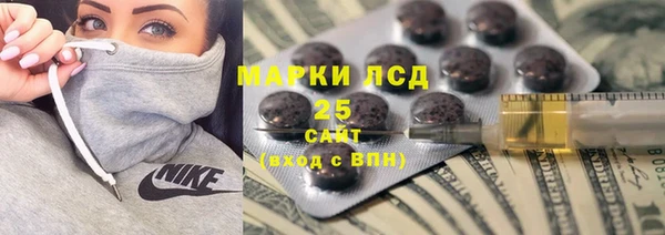 хмурый Алексин