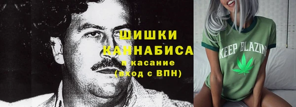 шишки Алзамай