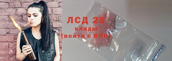 шишки Алзамай