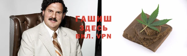 хмурый Алексин