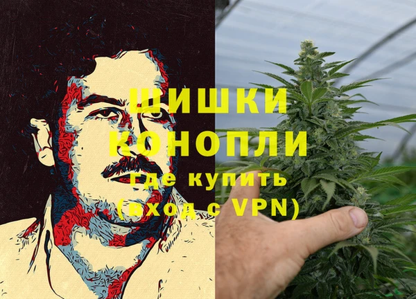 шишки Алзамай