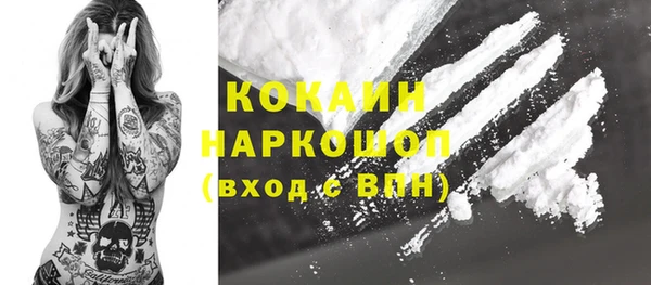шишки Алзамай